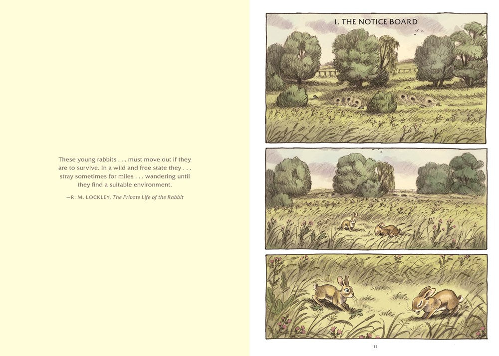 Watership Down: The Graphic Novel