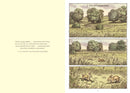 Watership Down: The Graphic Novel