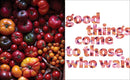 Good Things: Recipes and Rituals to Share with People You Love: A Cookbook