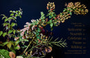 Home in Bloom: Lessons for Creating Floral Beauty in Every Room