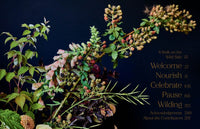 Home in Bloom: Lessons for Creating Floral Beauty in Every Room