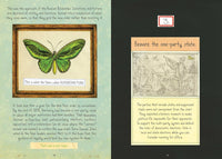 On Tyranny Graphic Edition: Twenty Lessons from the Twentieth Century