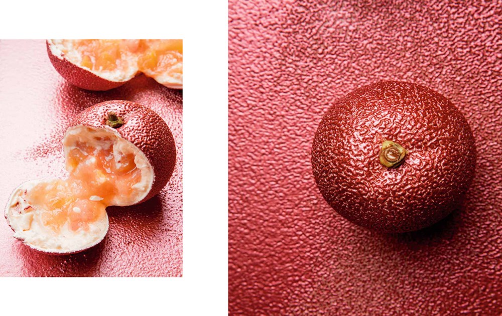 Fruit