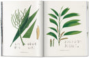 Martius. The Book of Palms
