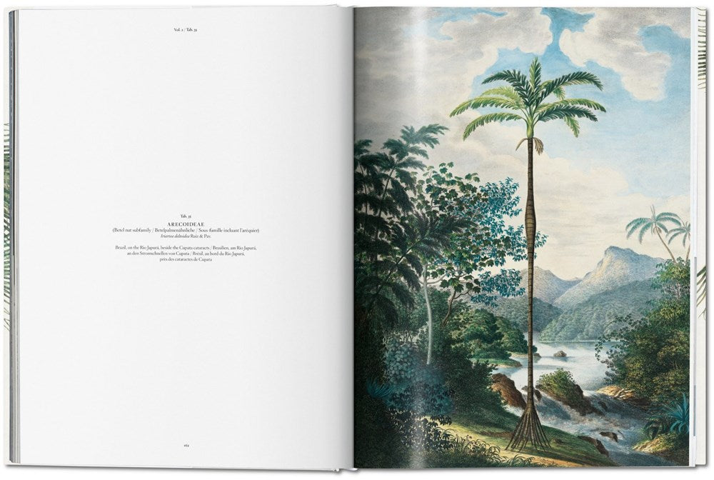Martius. The Book of Palms