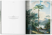 Martius. The Book of Palms