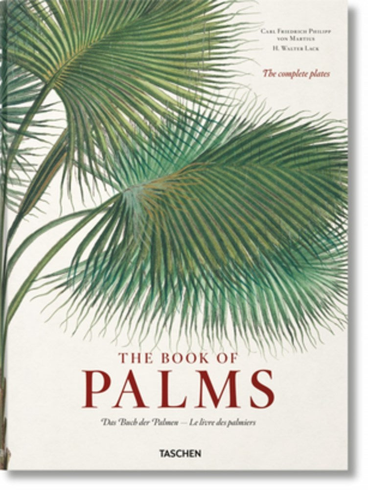 Martius. The Book of Palms  (Multilingual edition)