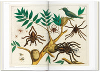 Seba. Cabinet of Natural Curiosities