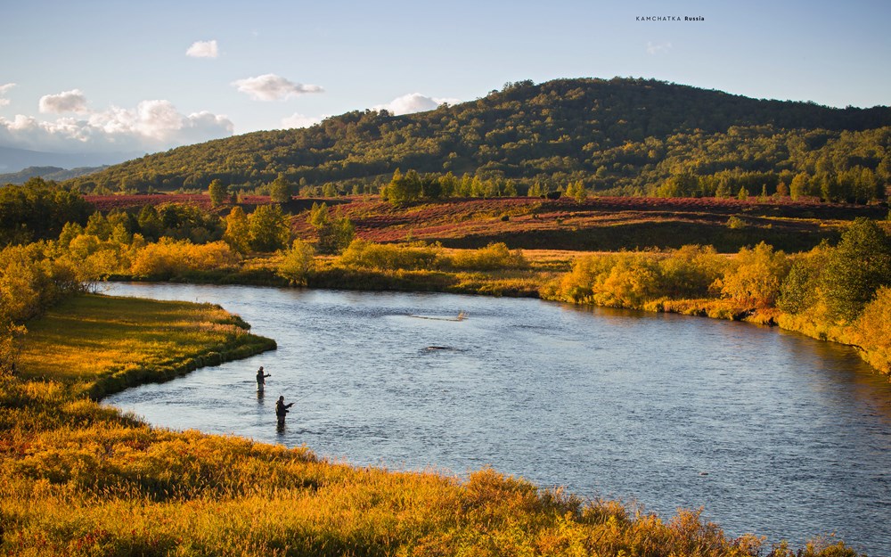 The Fly Fisher (updated version)