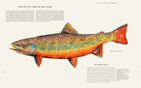The Fly Fisher (updated version)