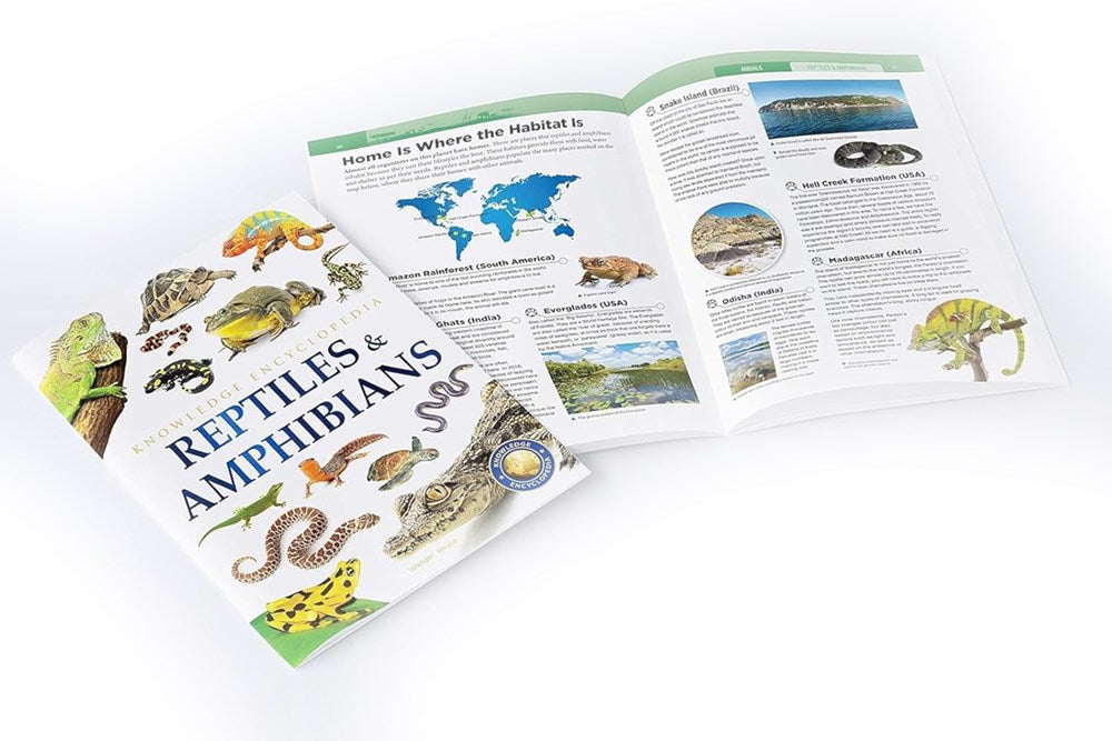 Animals: Collection of 6 Books: Knowledge Encyclopedia For Children (Box Set)