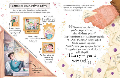 Pocket Potters: Harry Potter (Little Guides to the Harry Potter Books #1)