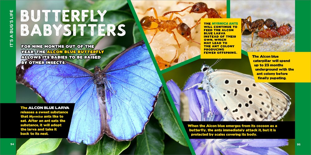 The Fascinating Bug Book for Kids: 500 Startling Facts! (Fascinating Facts)