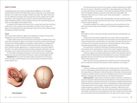 Mayo Clinic Guide to Your Baby's First Years, 3rd Edition: Clear Answers and Expert Advice for Every Phase With Your Infant and Toddler (Mayo Clinic Parenting Guides)