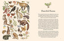Watercolor in the Woods: Paint a Whimsical World of Forest Animals, Botanicals, Toadstools and More