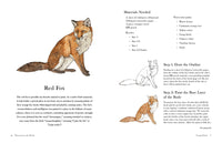 Watercolor in the Woods: Paint a Whimsical World of Forest Animals, Botanicals, Toadstools and More