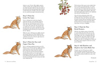 Watercolor in the Woods: Paint a Whimsical World of Forest Animals, Botanicals, Toadstools and More
