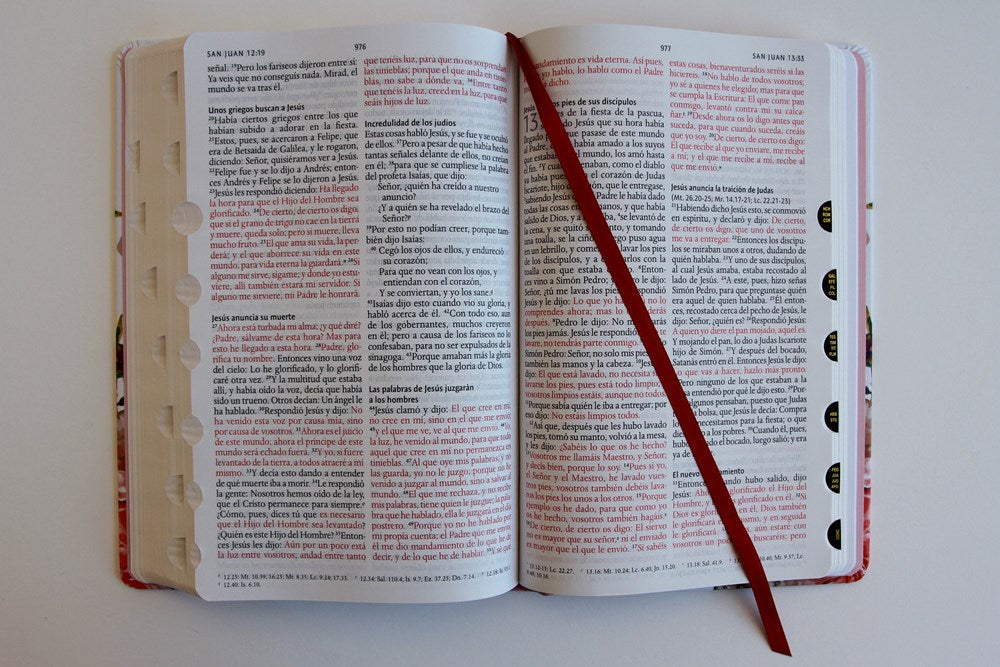 Biblia Reina Valera 1960 letra grande. Tela rosada con flores, manual con índice / Spanish Bible RVR 1960, Large Print, Pink Floral Cloth with Index (Spanish Edition)