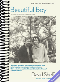 Beautiful Boy (tie-In): A Father's Journey Through His Son's Addiction