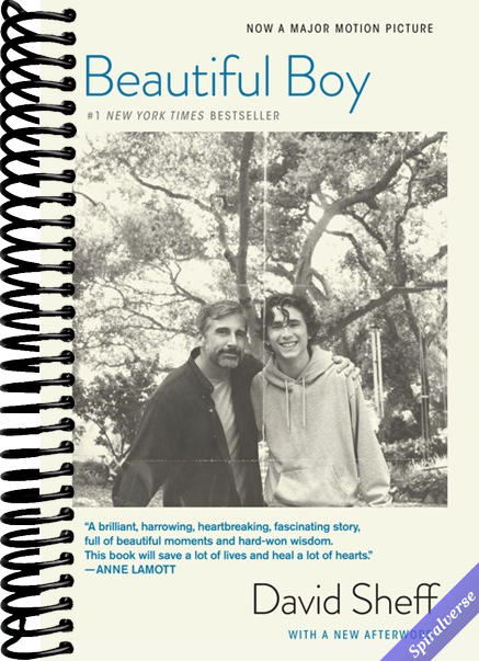 Beautiful Boy (tie-In): A Father's Journey Through His Son's Addiction