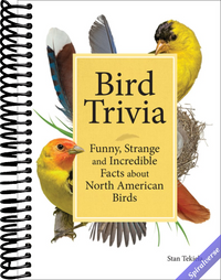 Bird Trivia: Funny, Strange and Incredible Facts about North American Birds