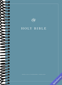 ESV Economy Bible