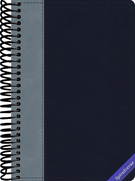 ESV Student Study Bible (Trutone, Navy/Slate, Timeless Design)