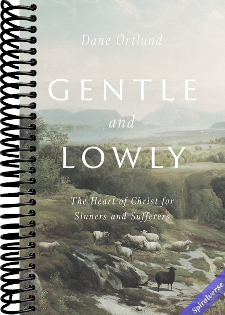 Gentle and Lowly: The Heart of Christ for Sinners and Sufferers