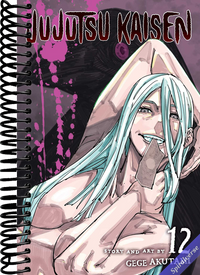Jujutsu Kaisen, Vol. 12