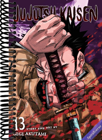 Jujutsu Kaisen, Vol. 13