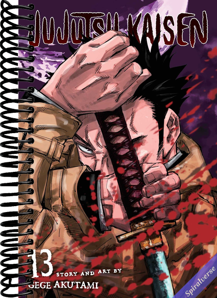 Jujutsu Kaisen, Vol. 13