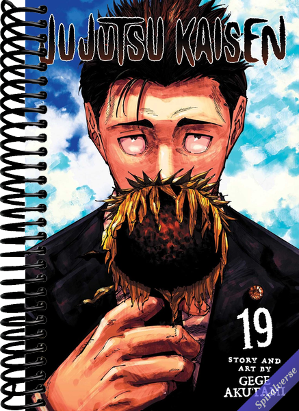 Jujutsu Kaisen, Vol. 19