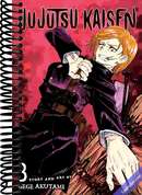 Jujutsu Kaisen, Vol. 3