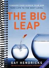 The Big Leap: Conquer Your Hidden Fear and Take Life to the Next Level―A Transformative Guide to Overcoming Fears and False Beliefs for Personal Growth and Success