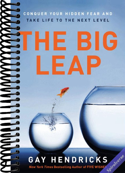 The Big Leap: Conquer Your Hidden Fear and Take Life to the Next Level―A Transformative Guide to Overcoming Fears and False Beliefs for Personal Growth and Success