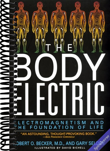 The Body Electric: Electromagnetism And The Foundation Of Life