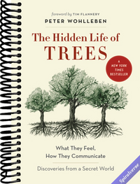 The Hidden Life of Trees: What They Feel, How They Communicate―Discoveries from A Secret World (The Mysteries of Nature, 1)