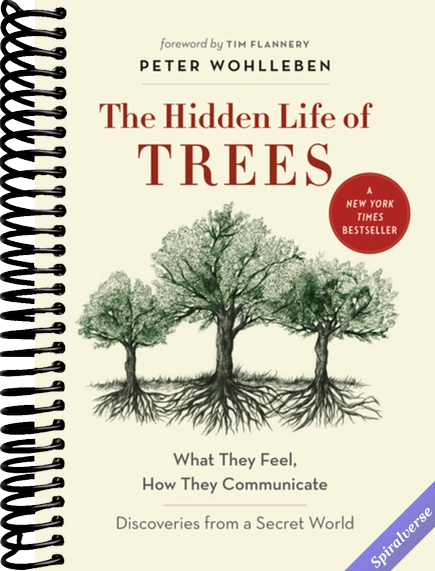 The Hidden Life of Trees: What They Feel, How They Communicate―Discoveries from A Secret World (The Mysteries of Nature, 1)