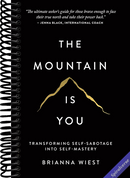 The Mountain Is You: Transforming Self-Sabotage Into Self-Mastery