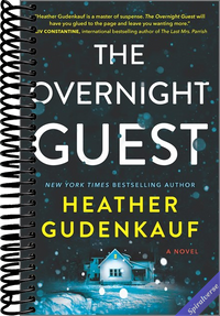 The Overnight Guest: A Novel