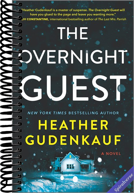 The Overnight Guest: A Novel